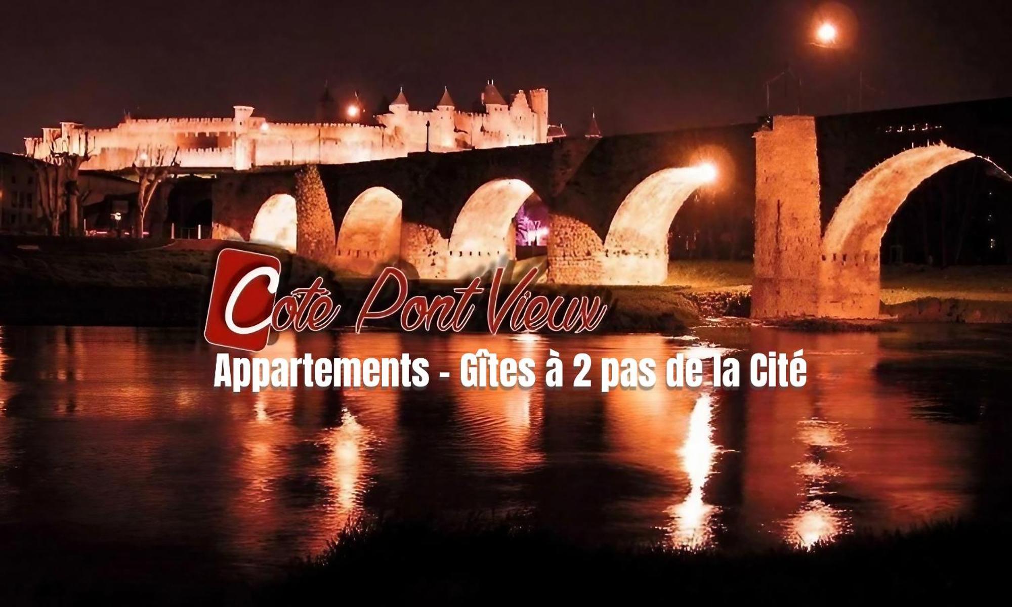 Appartements Cote Pont Vieux-Self Check-In Carcassonne Buitenkant foto